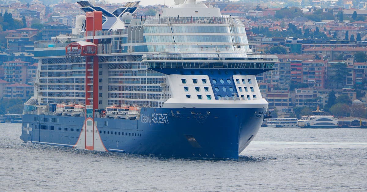 Cruise gemisi fiyatlarını belirleyen rota seçimi için İstanbul Boğazı'ndan geçen yolcu gemisi