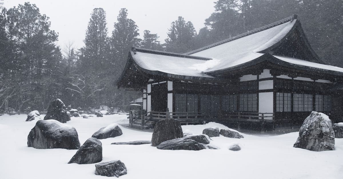 Winter in Japan: the Complete 2026 Guide for US Travelers - eSIM and international travel guide by HelloRoam