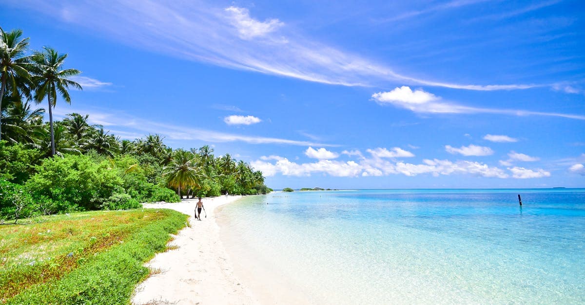 Tropischer Sandstrand im Laamu-Atoll auf den Malediven mit Palmen bei strahlendem Sonnenschein