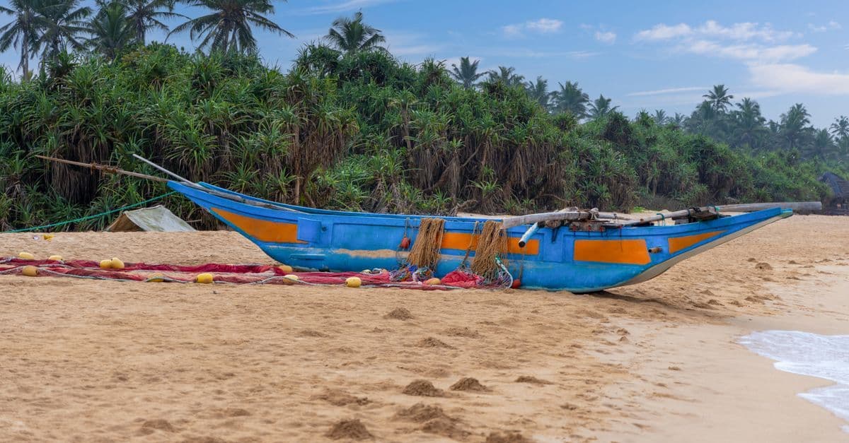A blue fishing boat rests on a sandy beach beside nets, with palm trees lining the shore.