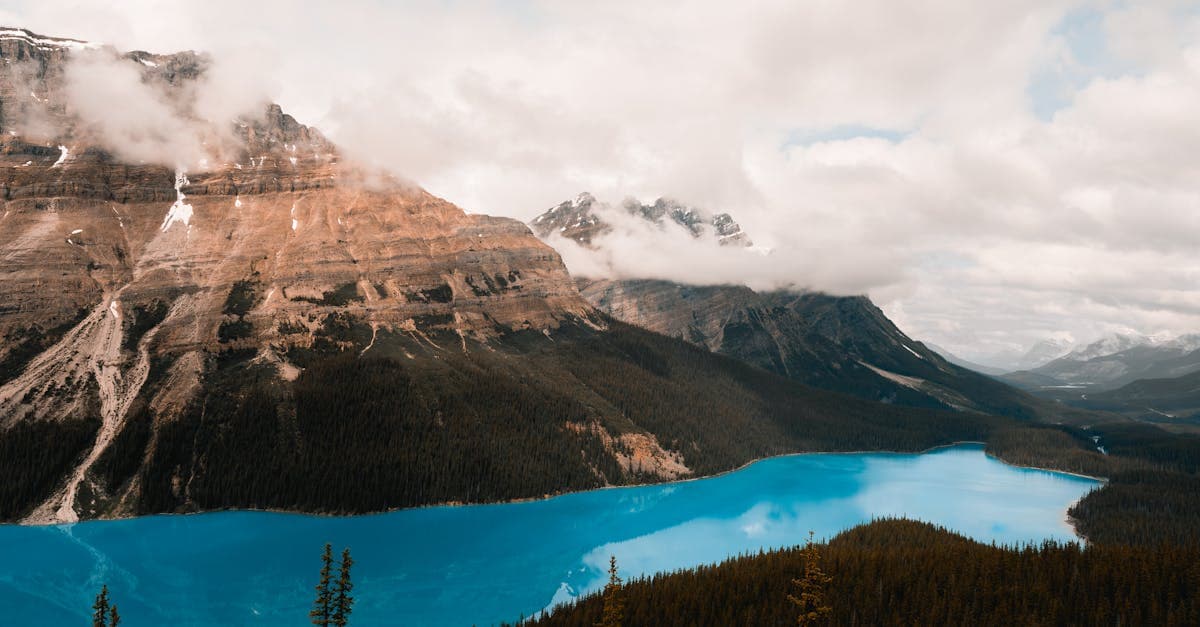 Breathtaking turquoise waters of Peyto Lake in Alberta's Canadian Rockies, perfect for budget-conscious Canadian travellers