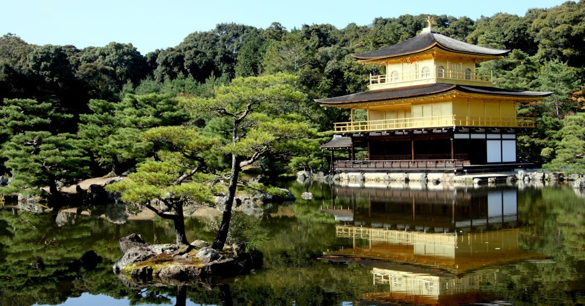 Japan Itinerary 2026: the Complete 10-Day Guide for Singapore Travellers