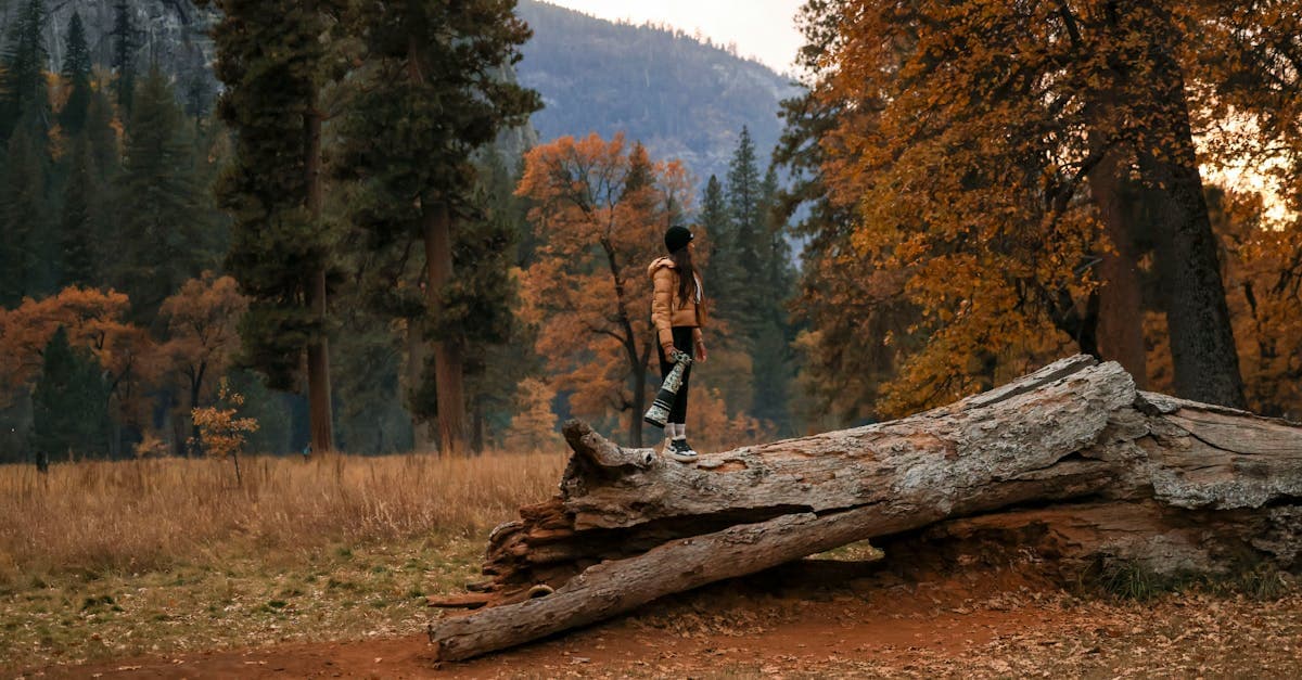 Solo female traveler standing on a fallen log surrounded by vibrant fall forest foliage.