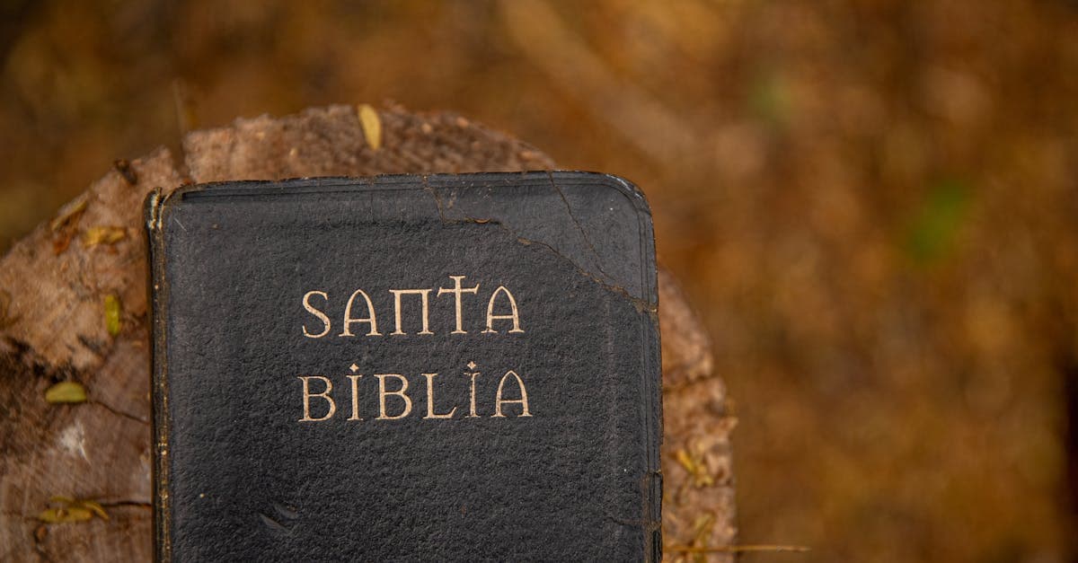 Santa Biblia sobre tocón de árbol rodeado de hojas otoñales, referencia a cuales son los 10 mandamientos originales.