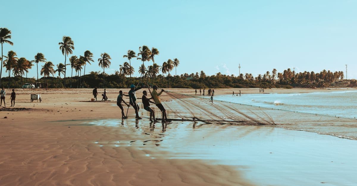 Pescadores a lançar redes numa praia ensolarada de João Pessoa, Brasil, com palmeiras e custos inesperados