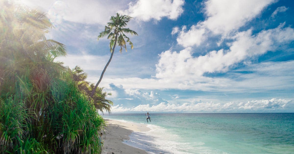 Palm-fringed Maldives beach with vivid turquoise water highlighting the best time to visit maldives