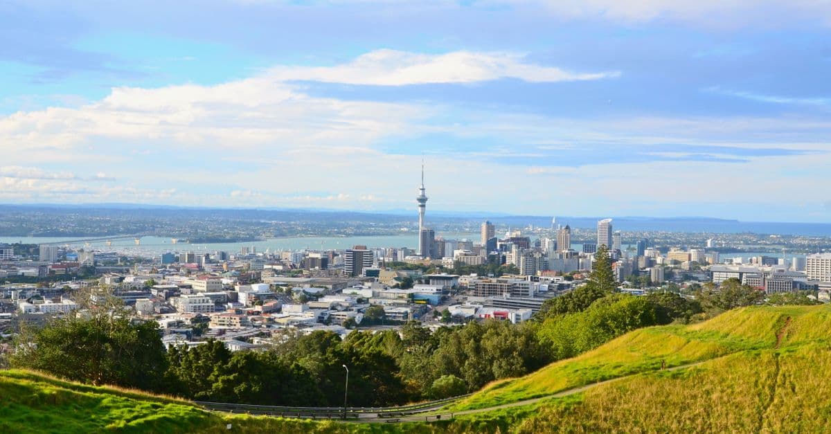 Blick von einem grünen Hügel auf Auckland mit Sky Tower, Hochhäusern und dem Hafen dahinter