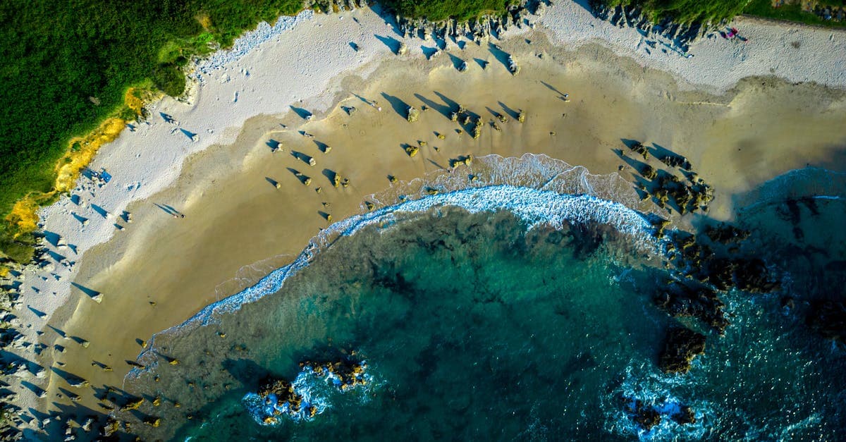 hello roam vs roamless