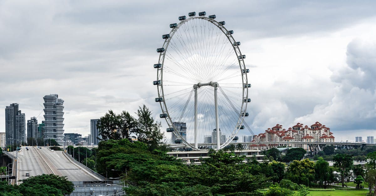 Singapore Flyer surrounded by green parkland, a landmark stop before a Malaysia day trip on a tourist SIM card