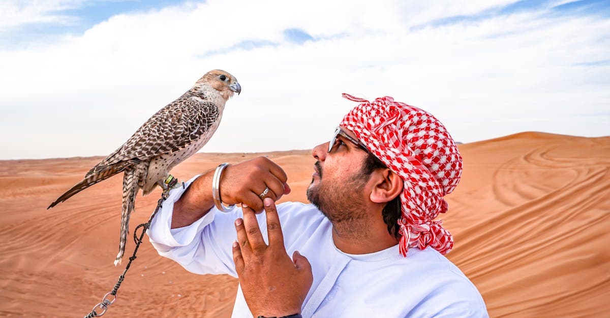 Falconer handling a trained falcon in the Arabian desert, one of the cultural things to do in Dubai