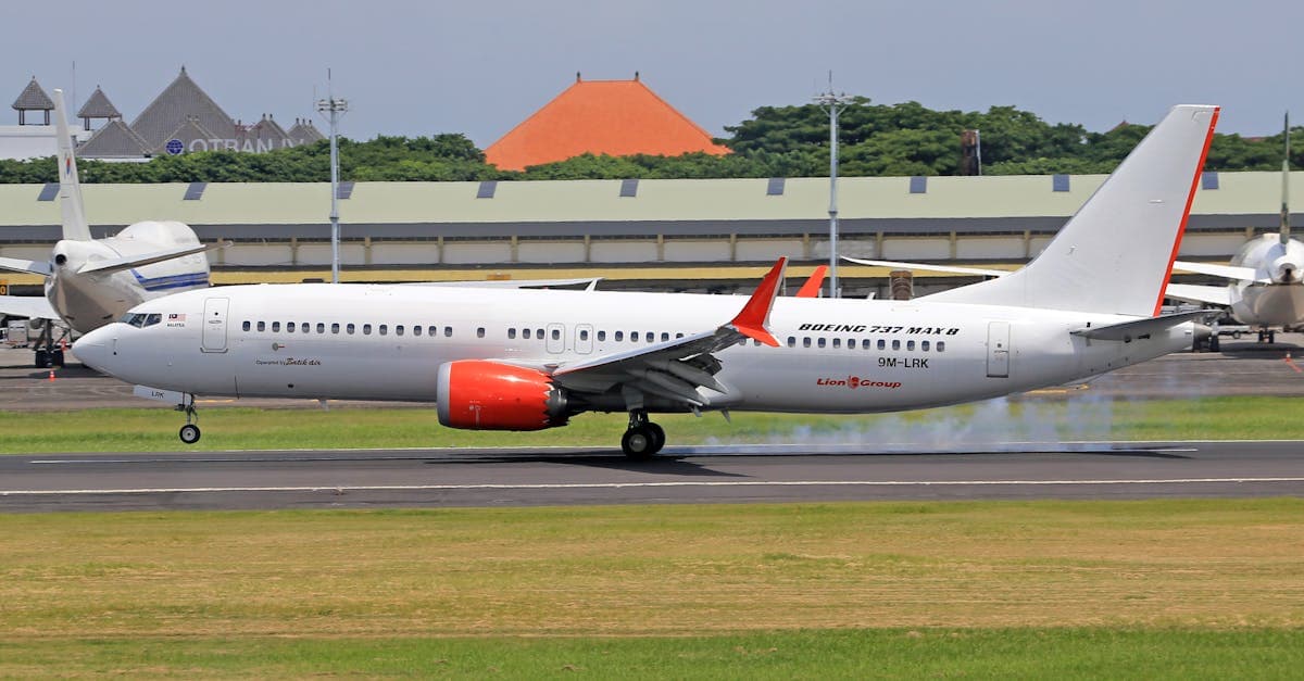 Boeing 737 MAX 8 jet making a landing with visible touchdown smoke.