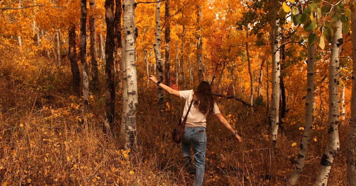 Woman discovering vibrant autumn aspens in Salt Lake City, one of the best spots for travelling solo women