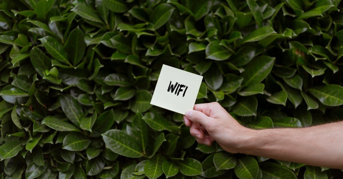 Mano che regge un foglietto con scritta WiFi tra foglie verdi, alla ricerca del miglior router wifi con sim.