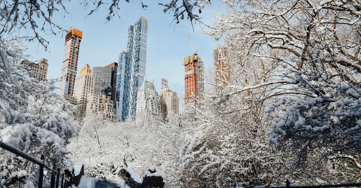 Snow-dusted skyscrapers and leafless trees near a bridge under a clear winter sky in New York.