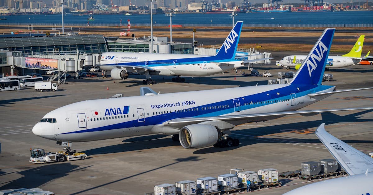 ANA Boeing 777 at Tokyo Haneda Airport, a major hub for toronto to tokyo flight connections![image