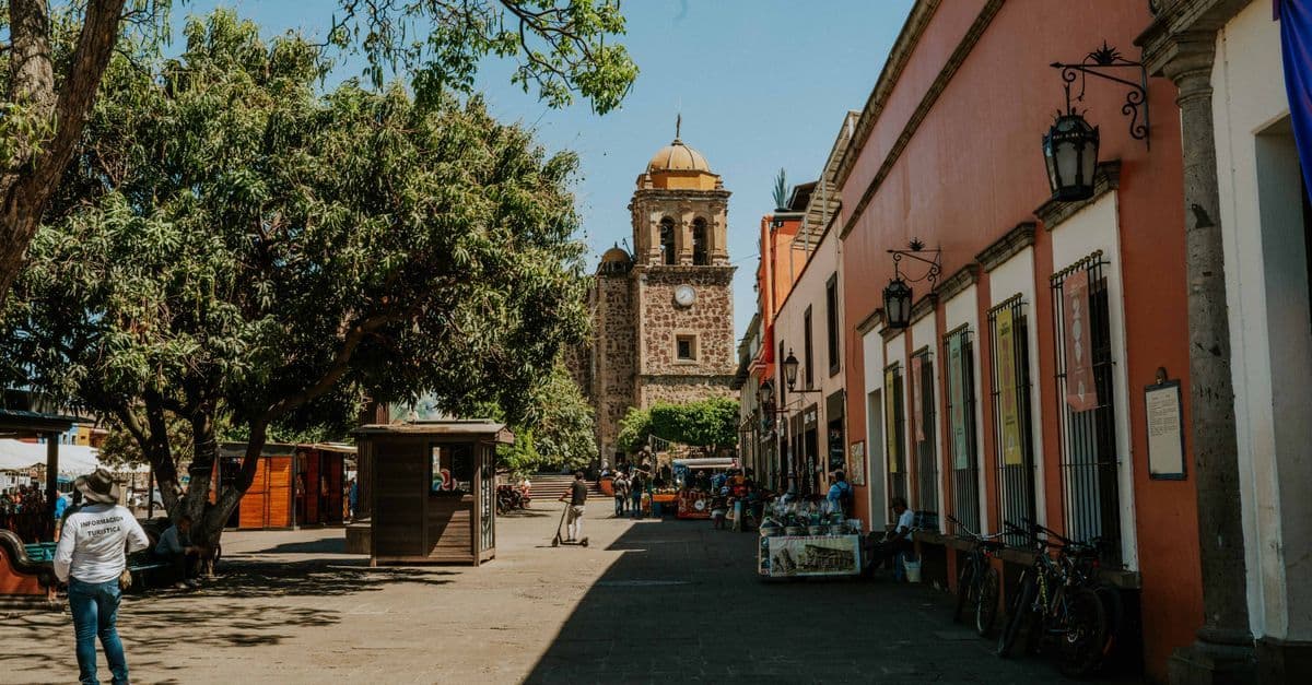 Sunlit plaza with leafy trees, a stone bell tower, and colorful colonial buildings in Mexico City.