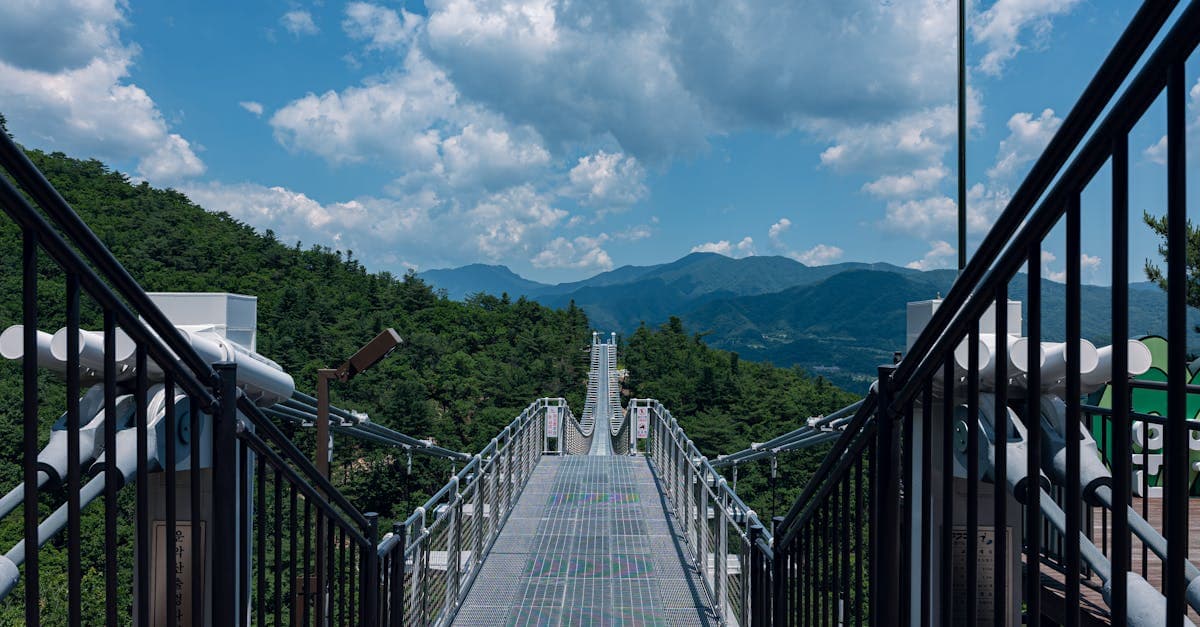 2026 년 동계 올림픽 알파인 스키 핵심 결과 요약과 함께 만나는 한국 가평의 산악 현수교와 장엄한 산세