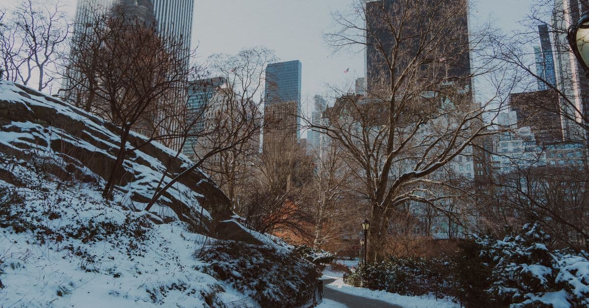 Caminho nevado no Central Park com arranha-céus ao fundo, retrato fiel do clima em Nova York no inverno