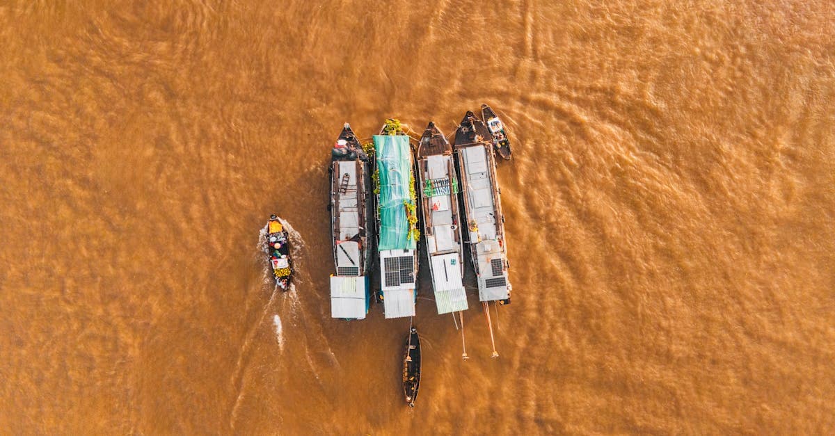 Chợ nổi Cái Răng nhìn từ trên cao, các trường hợp loại trừ trong bảo hiểm du lịch cần lưu ý