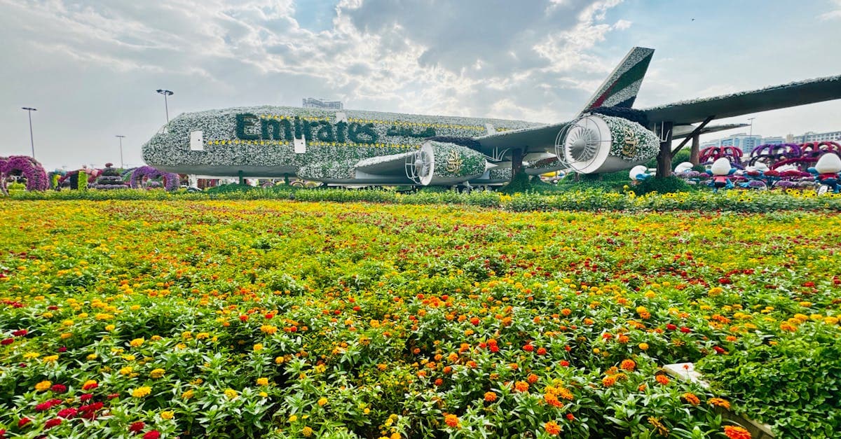 Emirates-Flugzeug aus Blumen im Dubai Miracle Garden – Blickfang rund um den größten Flughafen der Welt
