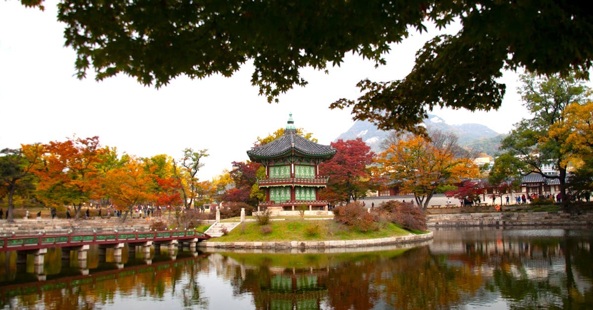 Hyangwonjeong Pavilion framed by golden autumn leaves, a perfect snapshot of korea weather through the seasons