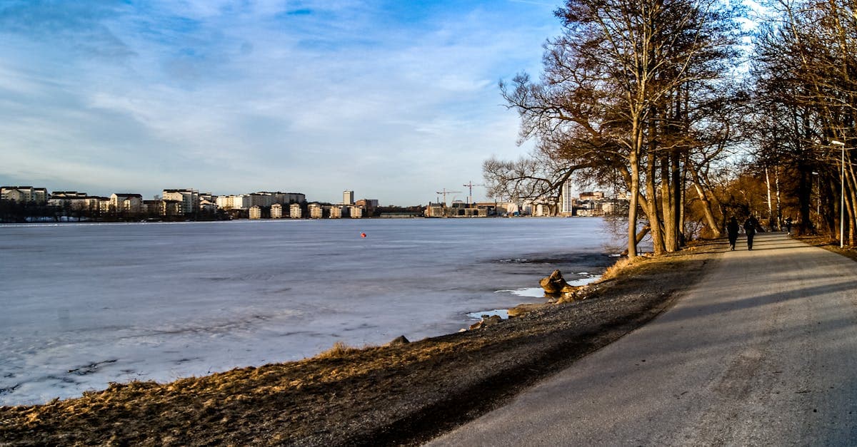 Vintervacker sjöutsikt med isbelagd sjö och trädkantad promenadväg i Stockholm, Sverige