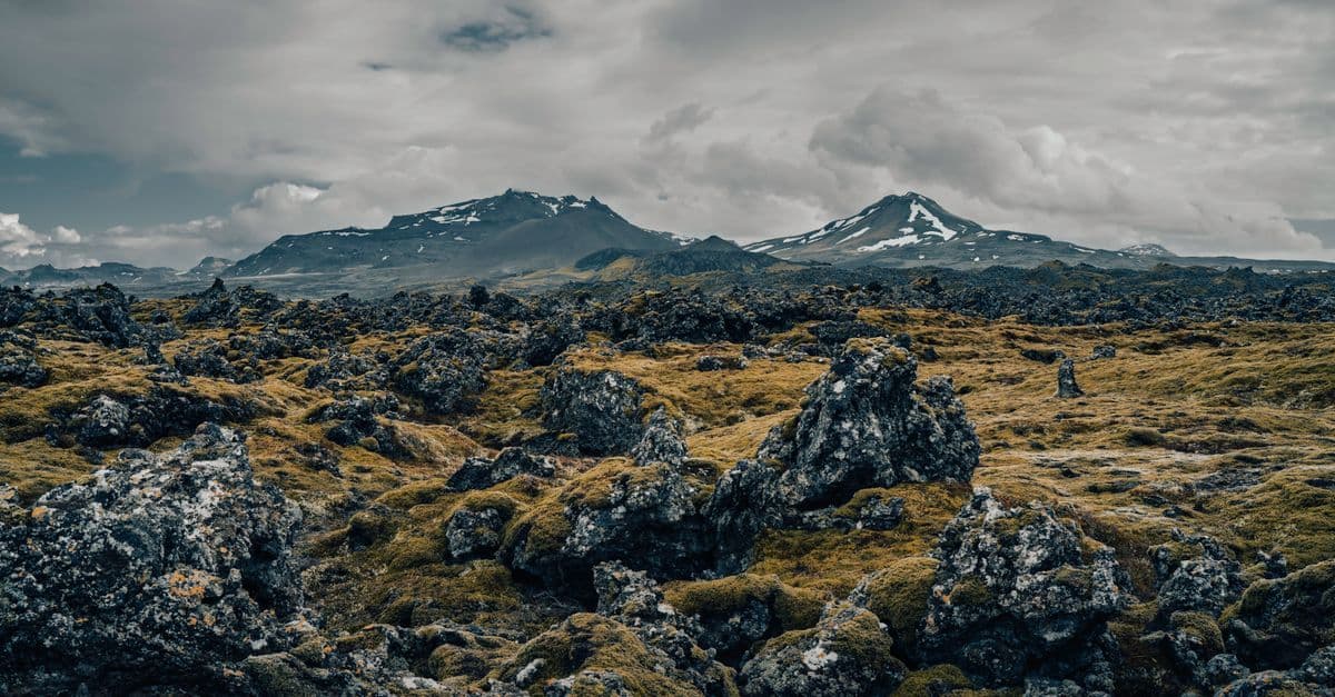 Moss-covered volcanic rocks stretch across an Icelandic landscape beneath distant snow-dusted mountains and a cloudy sky.