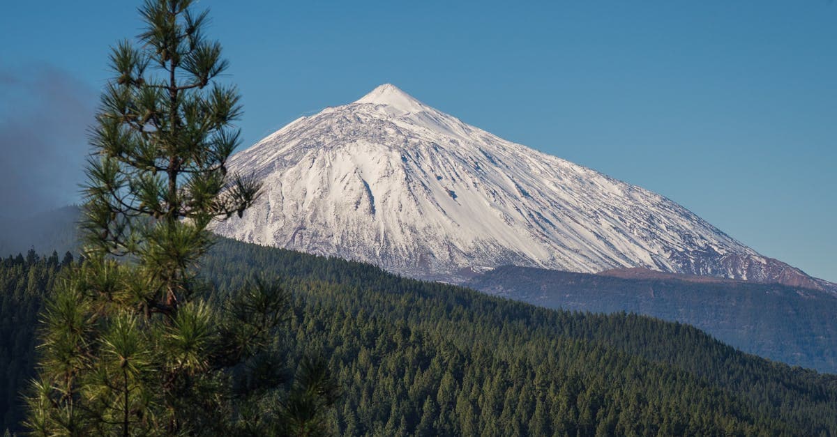 Mount Teide with snow-dusted peak and pine forests during the best time to visit Tenerife in winter