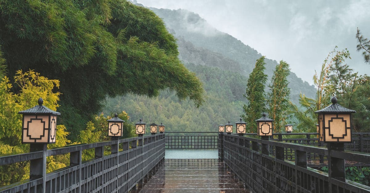 Cuaca Jepang Sepanjang Tahun: Panduan Lengkap untuk Wisatawan Indonesia - panduan perjalanan dan tips eSIM dari HelloRoam