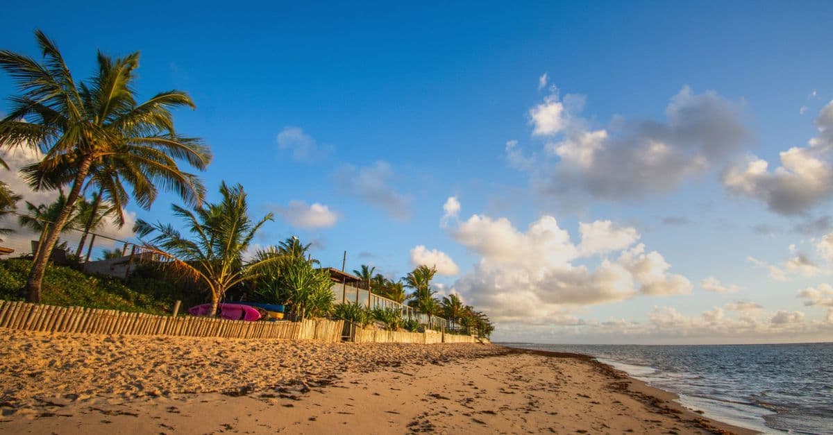 Palm trees line a quiet sandy beach beside the sea under a partly cloudy sky.