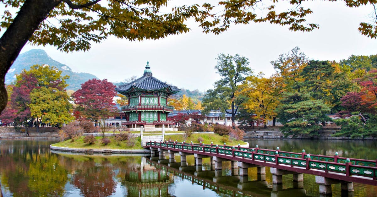 경복궁의 고요한 가을 단풍과 호수 반영, 저렴한 여행자보험 가격으로 마음 편히 즐기는 한국 여행 풍경