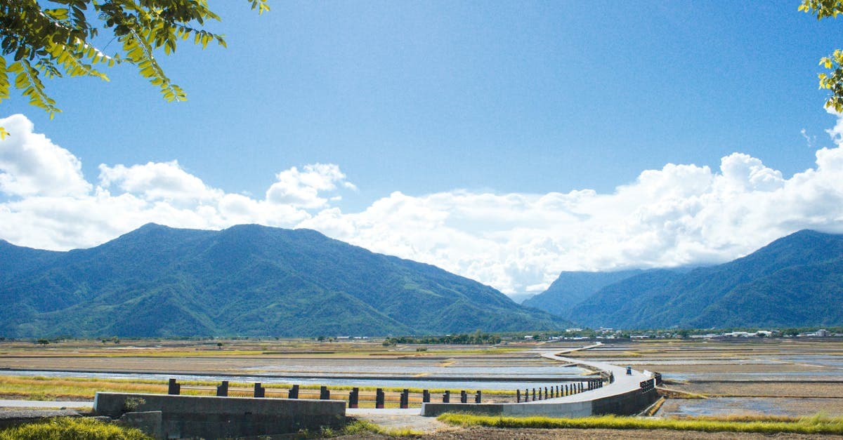 台湾の天気カレンダーに合わせて訪れたい池上の緑豊かな田園風景と青空