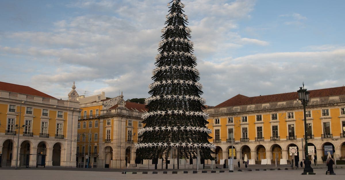 Festive Christmas tree at Lisbon's Praça do Comércio framed by Portugal's historic architecture in winter