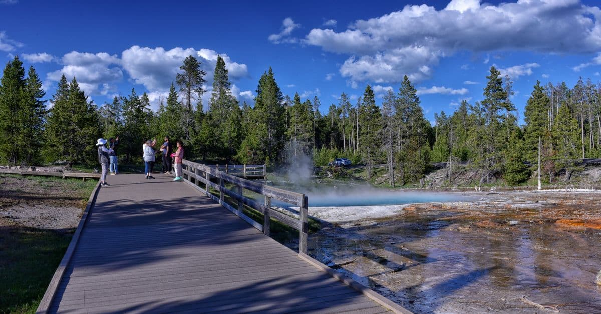 Visitatori su una passerella di legno accanto a una sorgente termale fumante a Yellowstone, tra i pini.