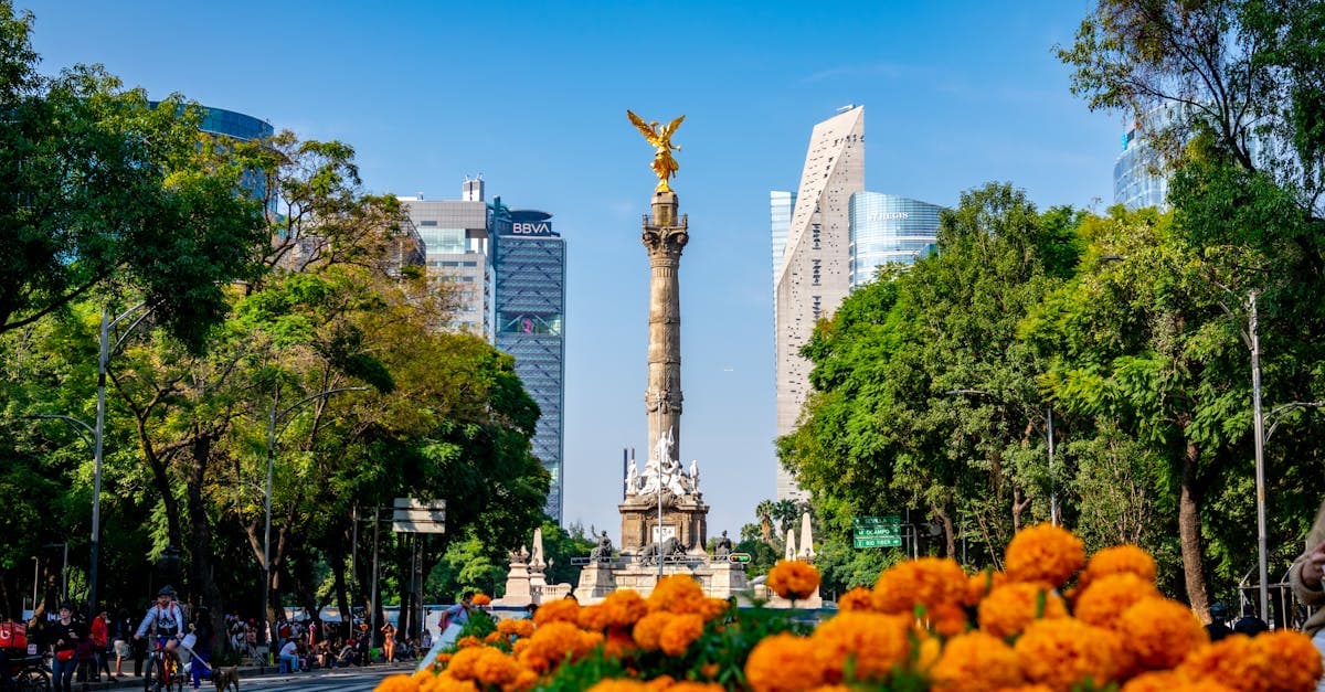 Icónico Ángel de la Independencia entre flores de cempasúchil representando la libertad financiera con la línea de crédito Creditea