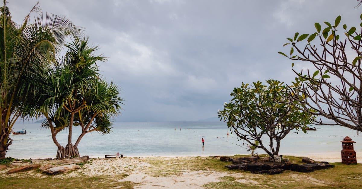 Peaceful palm-lined beach at Ao Nang in southern Thailand, contrasting the region's conflict zone safety warnings