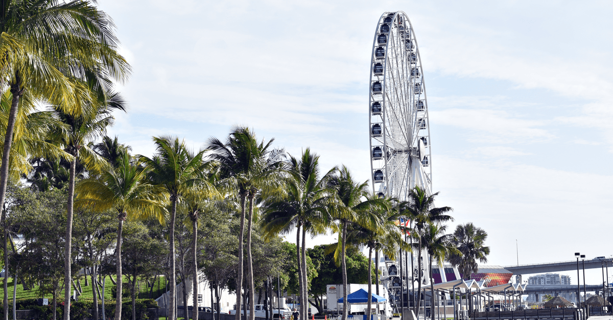 Roda-gigante e coqueiros à beira-mar em Miami em um dia ensolarado, um dos lugares mais bonitos da cidade.