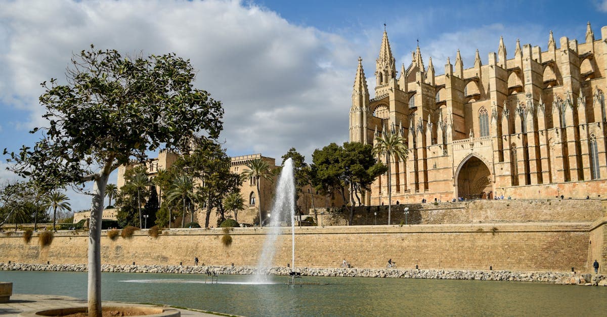 Mallorca väder och regn: Palmas katedral och Almudainapalatset speglat i en stilla vattenspegel