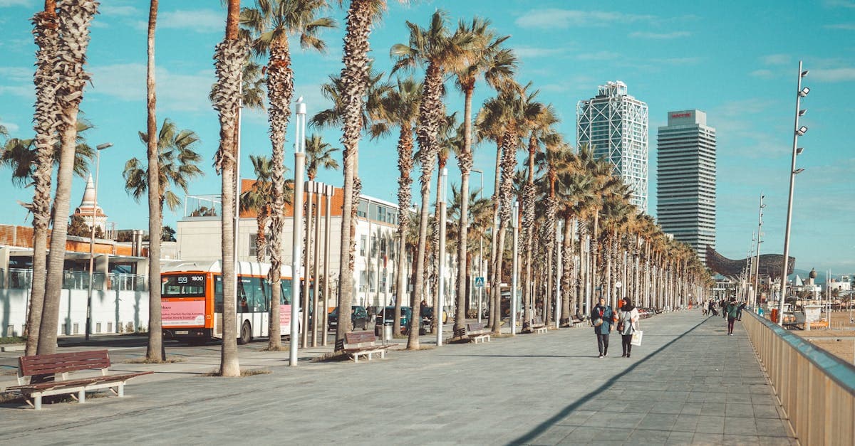 Miejska promenada obsadzona palmami z panoramą Barcelony idealna do trzydniowego zwiedzania miasta