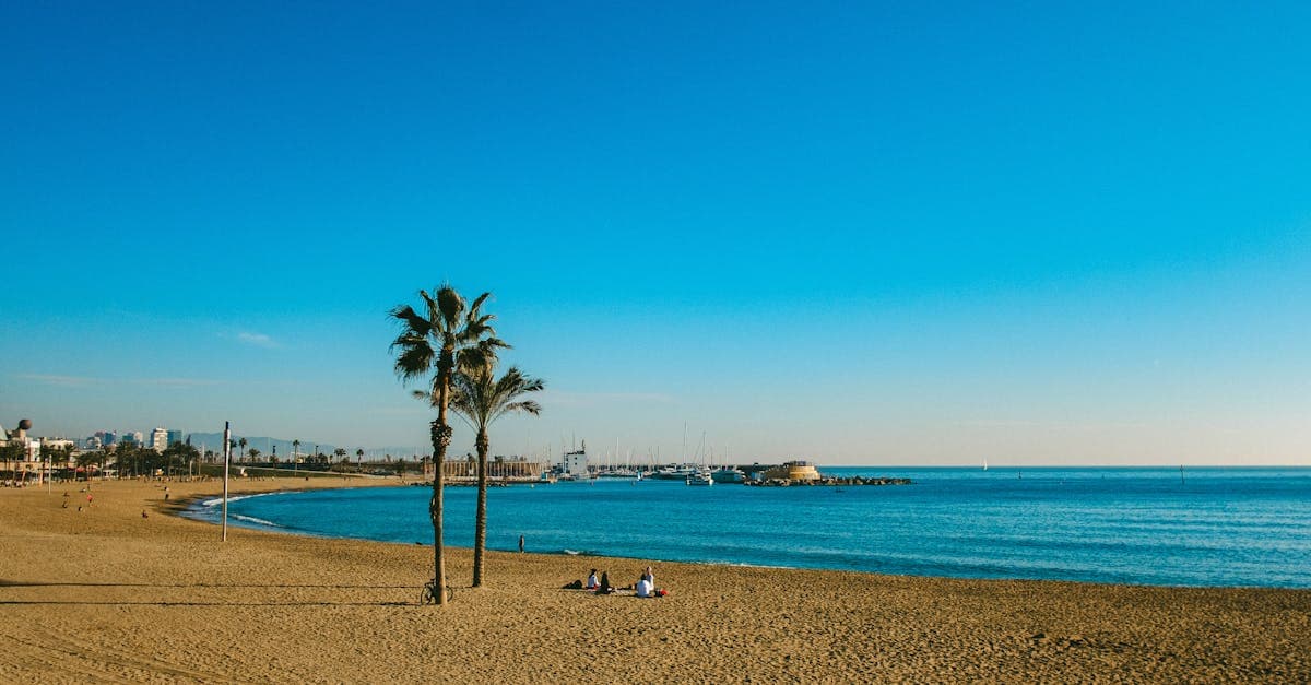 Gouden zandstrand met palmbomen in Barcelona, ideaal voor een warme oktoberdag in de zon.