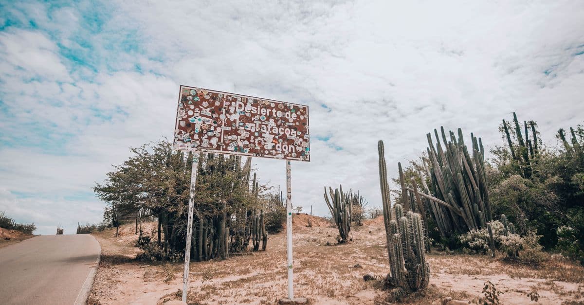 A weathered sign stands beside a rural road among tall cacti and dry scrub under a cloudy sky.
