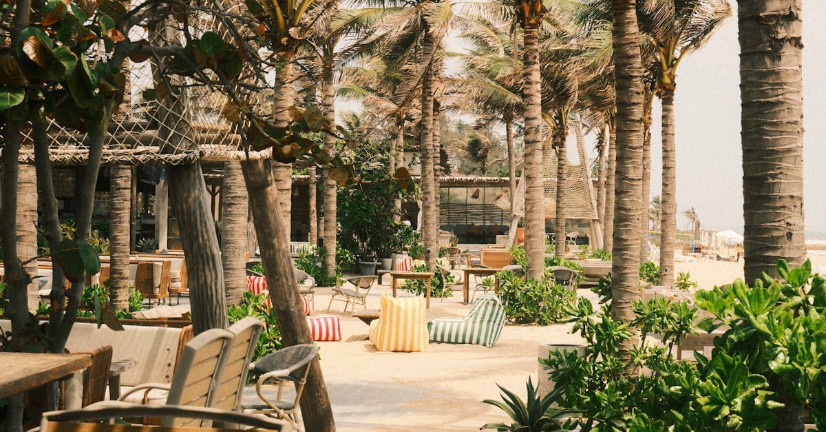 Escena tranquila frente al mar con sillas y palmeras en un resort del Unlimited Vacation Club.