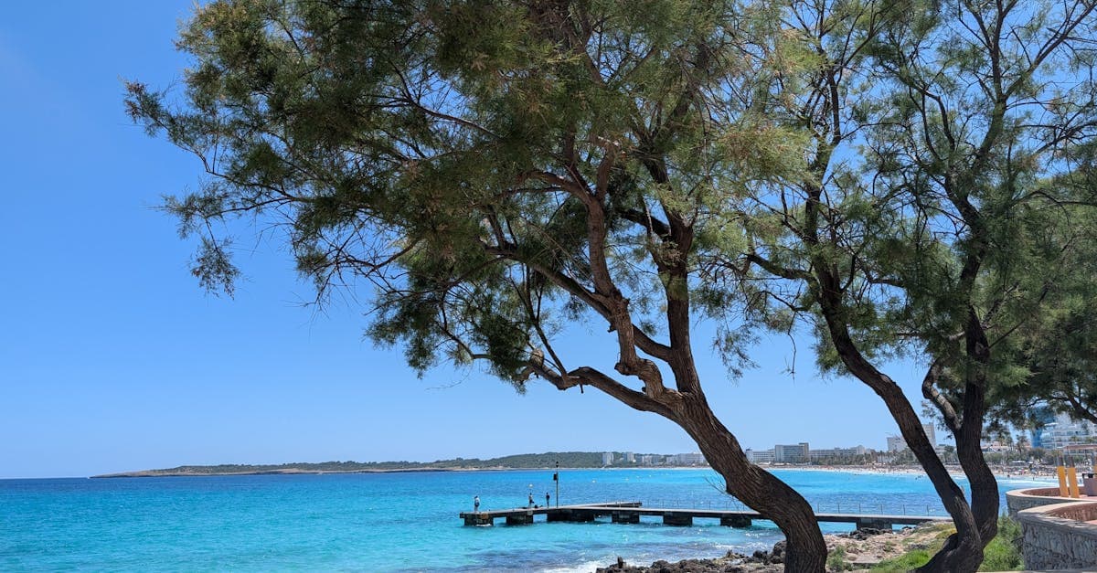Rustig strand op Mallorca met turquoise water en een pier, perfect voor de beste reistijd.