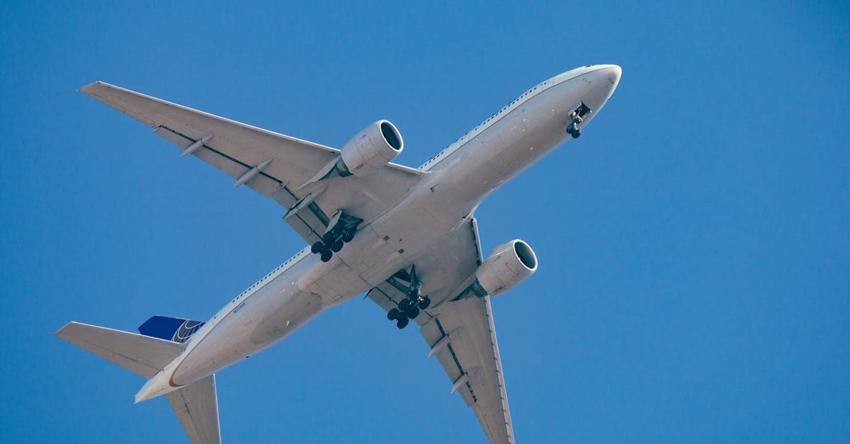 Passagierflugzeug in der Luft vor blauem Himmel – so funktioniert die Flugsuche mit Google Flights
