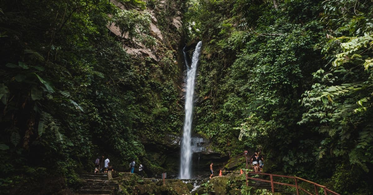 A tall waterfall drops into a lush, forested gorge as visitors stand along the viewing path.