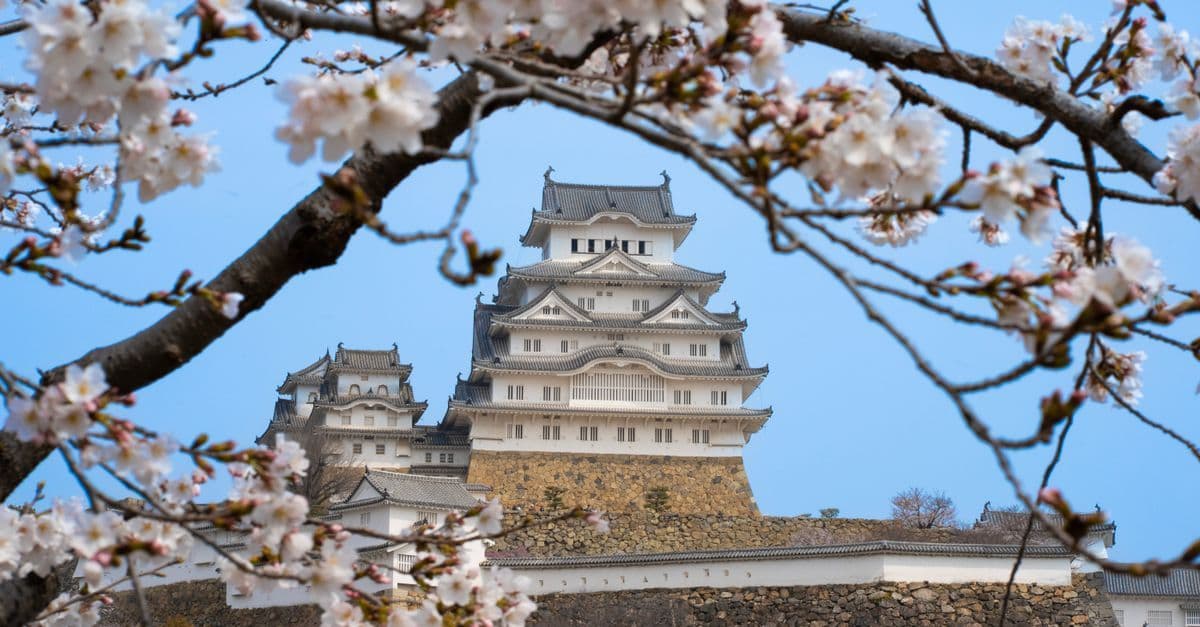 Himeji Castle framed by cherry blossoms, the highlight of the best time to visit Japan in spring.