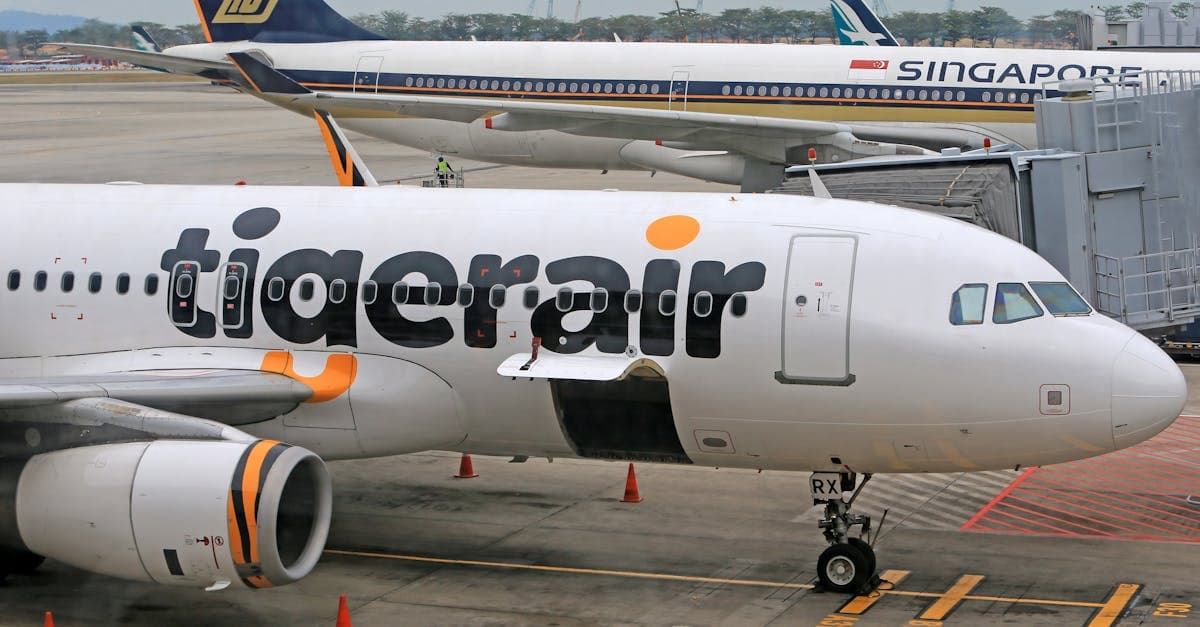 Tigerair plane at airport gate with Singapore Airlines aircraft, highlighting economy class Sydney to Singapore flight options.