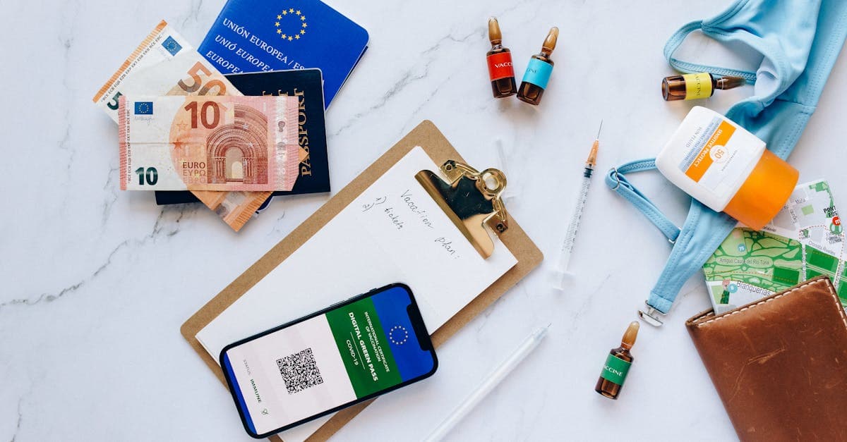 Flat lay of travel documents, euros, vaccination passport, and medical supplies for a finances packing list.