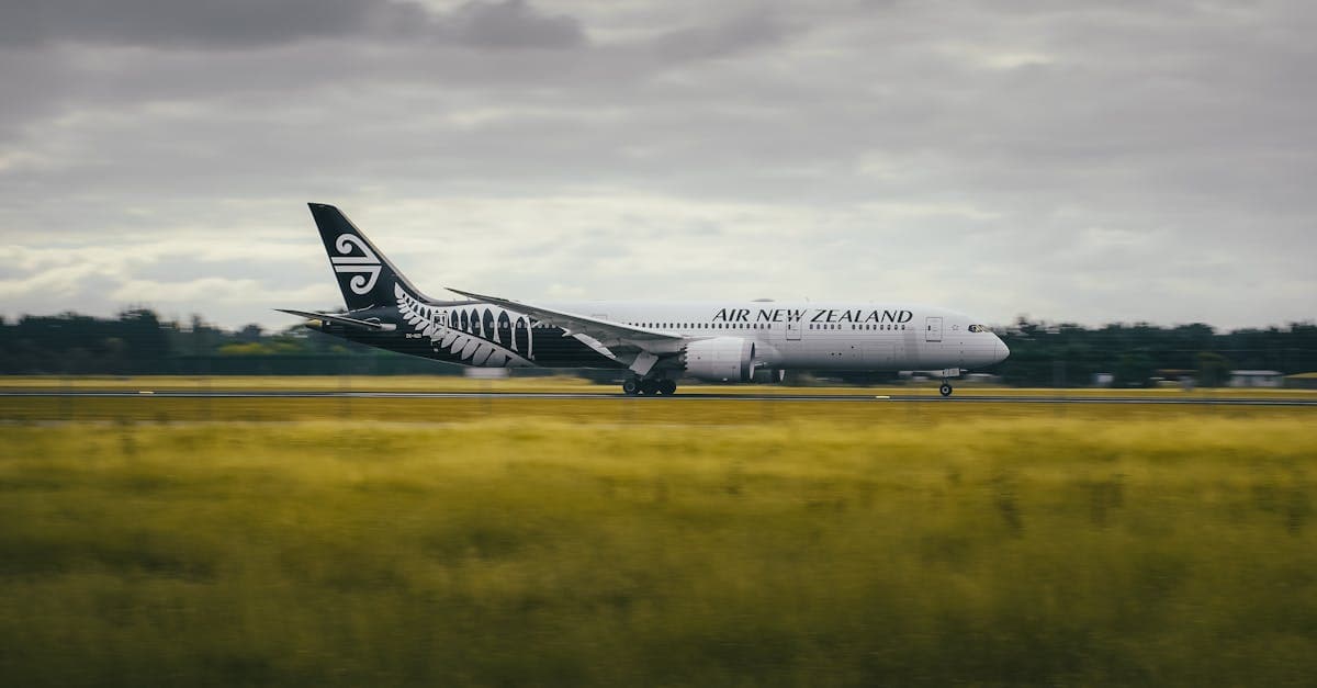 Air New Zealand Boeing 787 landing on runway, ideal for comparing budget flights New Zealand options.![image