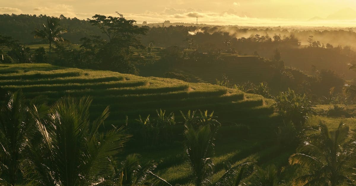 Vuelos a Bali desde España: Precios, Aerolíneas y Cuándo Reservar en 2026 miniatura del artículo